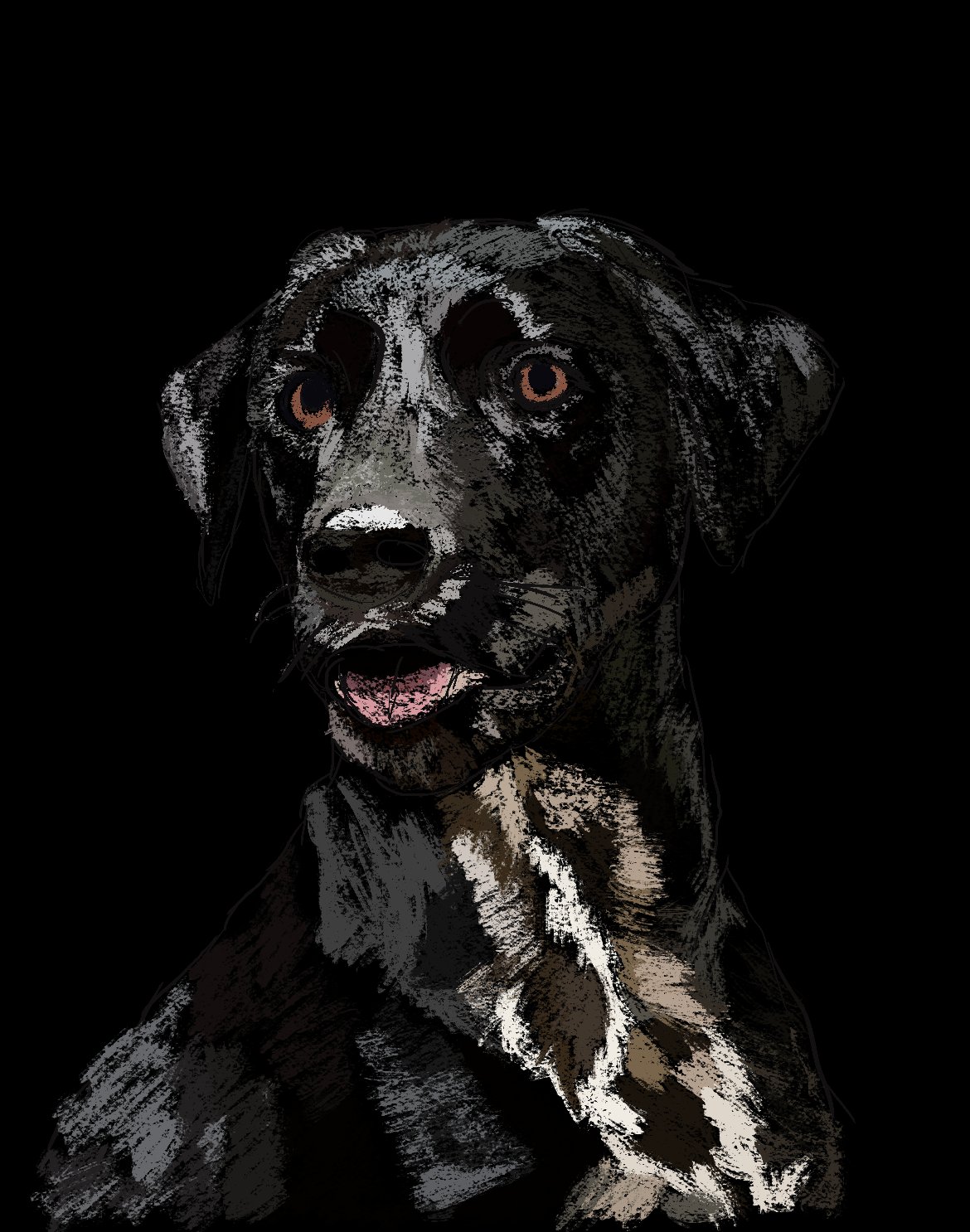 close portrait of a black dog against a dark background