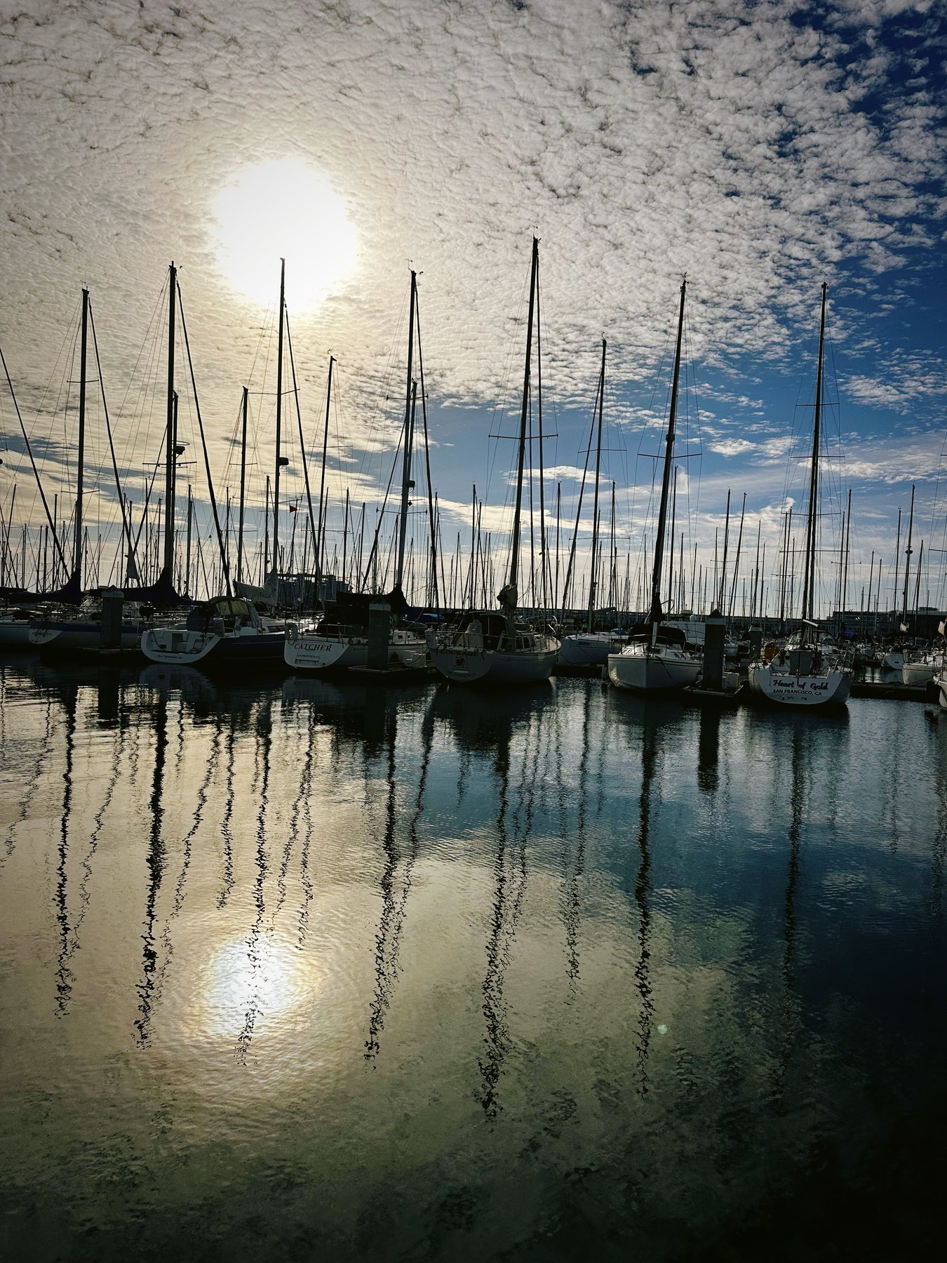marina in bright daylight, boats at their moorings