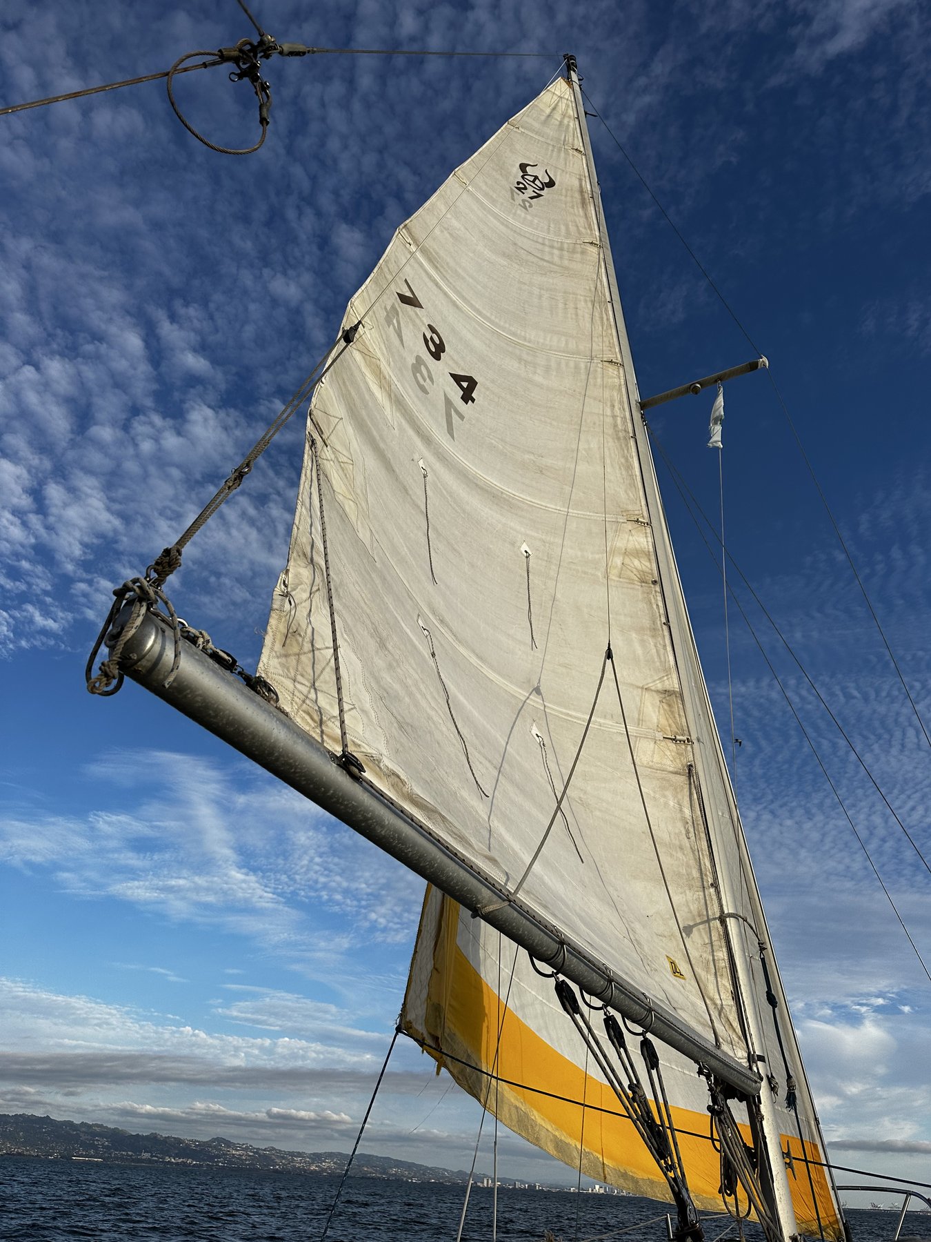 a sail catching wind, bay bridge behind