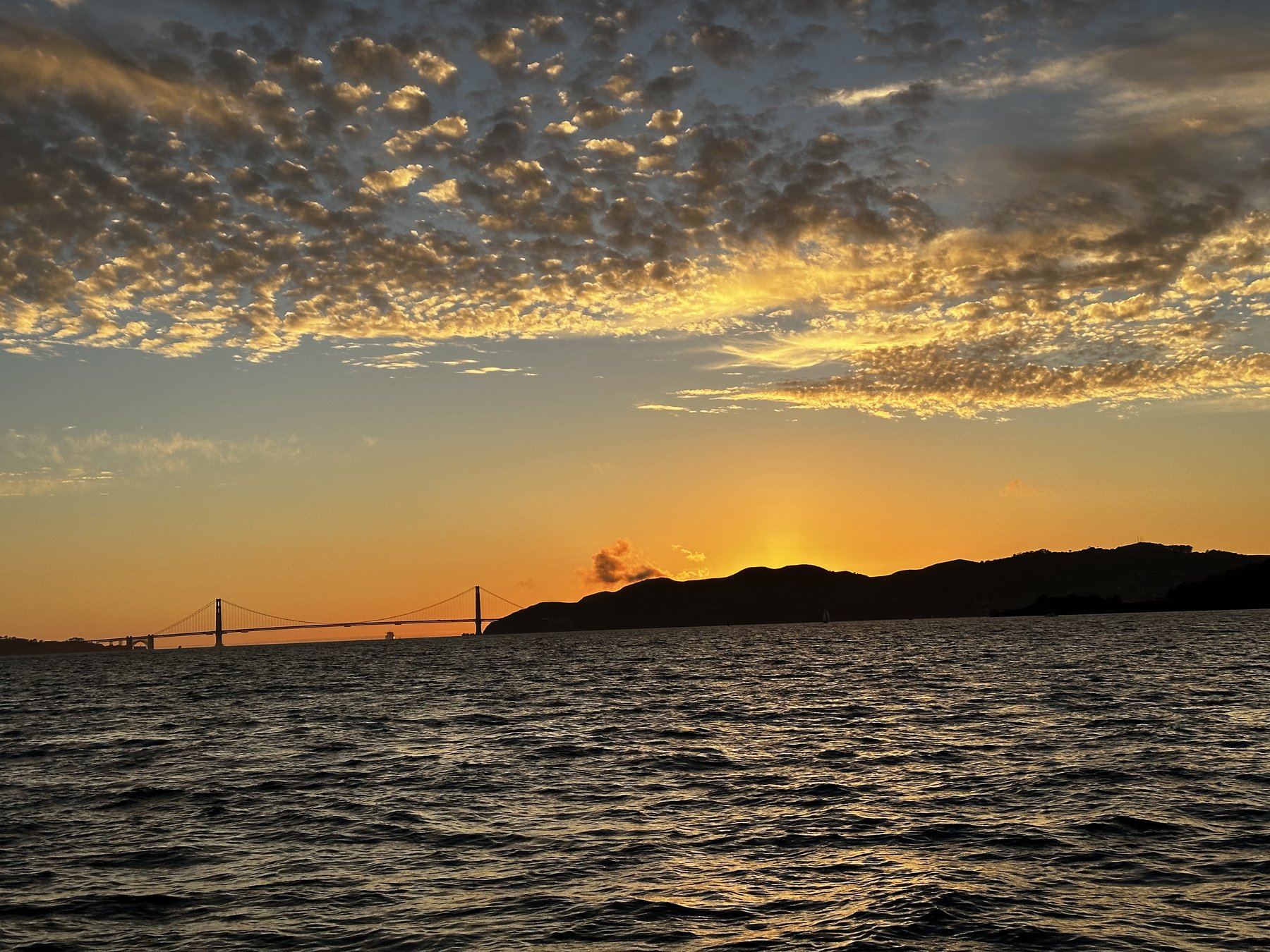 golden dusk over the bay, bridge silhouette in the distance